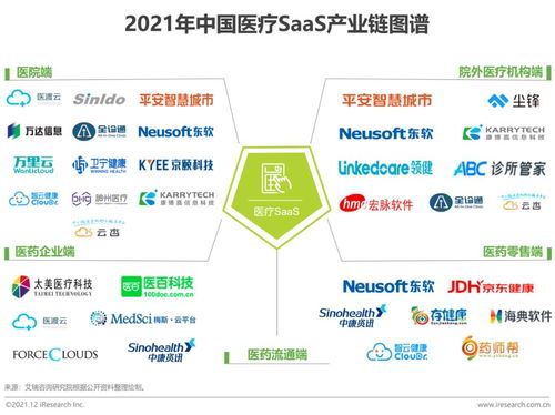 2021年中国医疗SaaS行业研究报告 技术趋势与咨询服务价值洞察